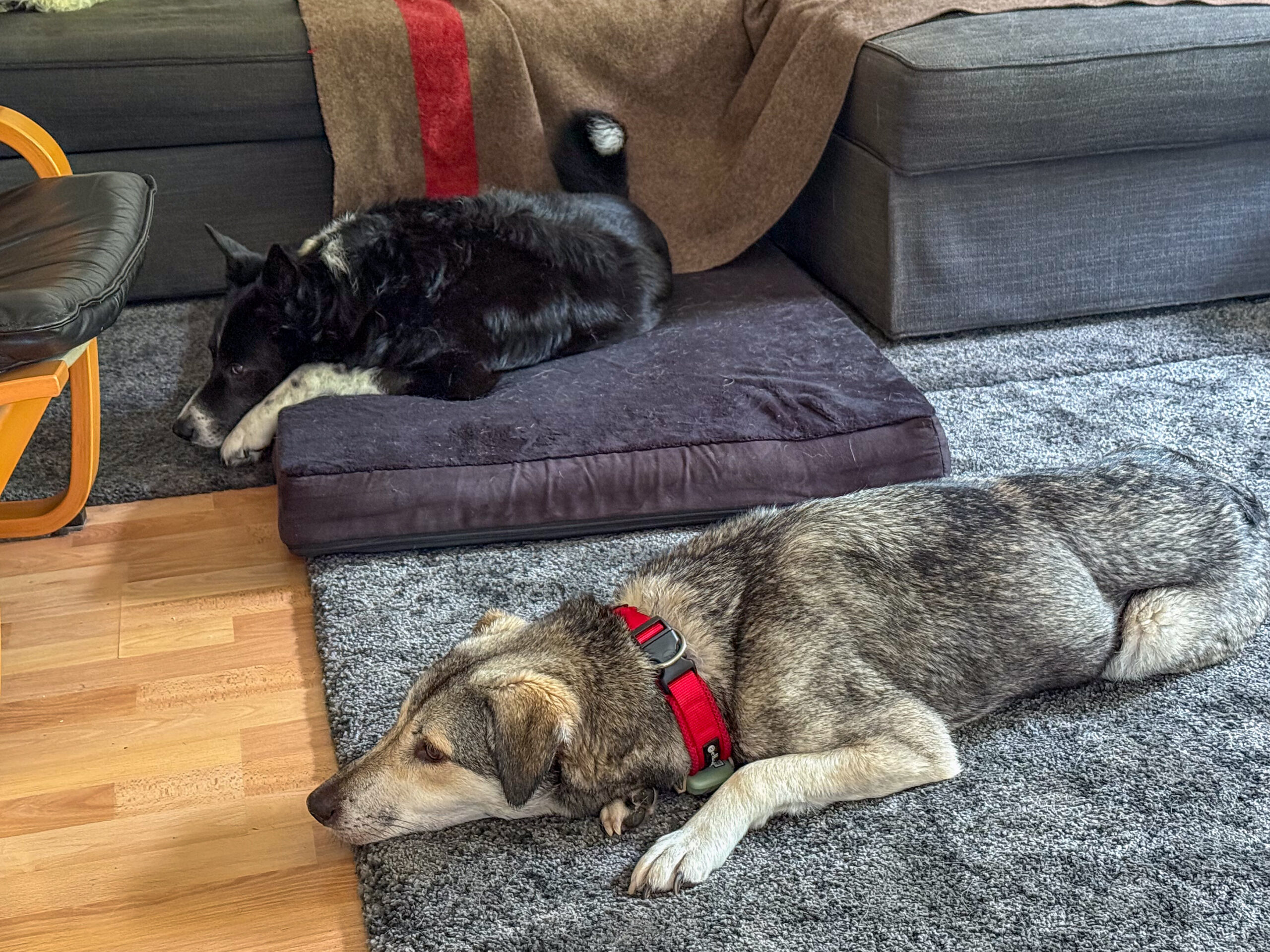 Pfingstsonntag vor dem Sofa
