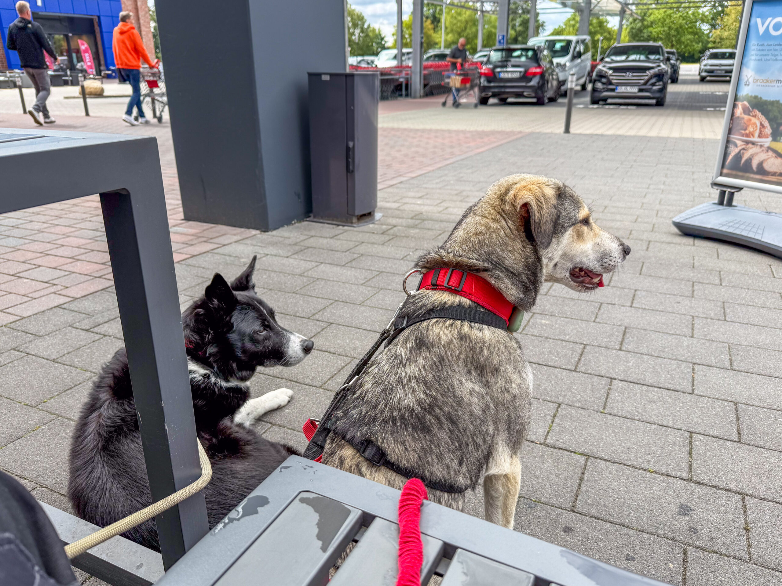 Rumhängen vor dem Supermarkt