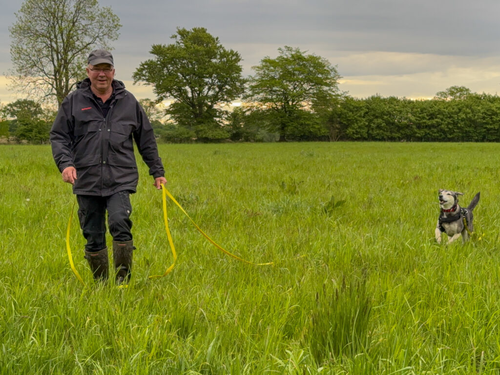 Michael in Regenjacke im Regen auf einer grünen Wiese, Hund Tanuschka rennt an der gelben Leine auf ihn zu.