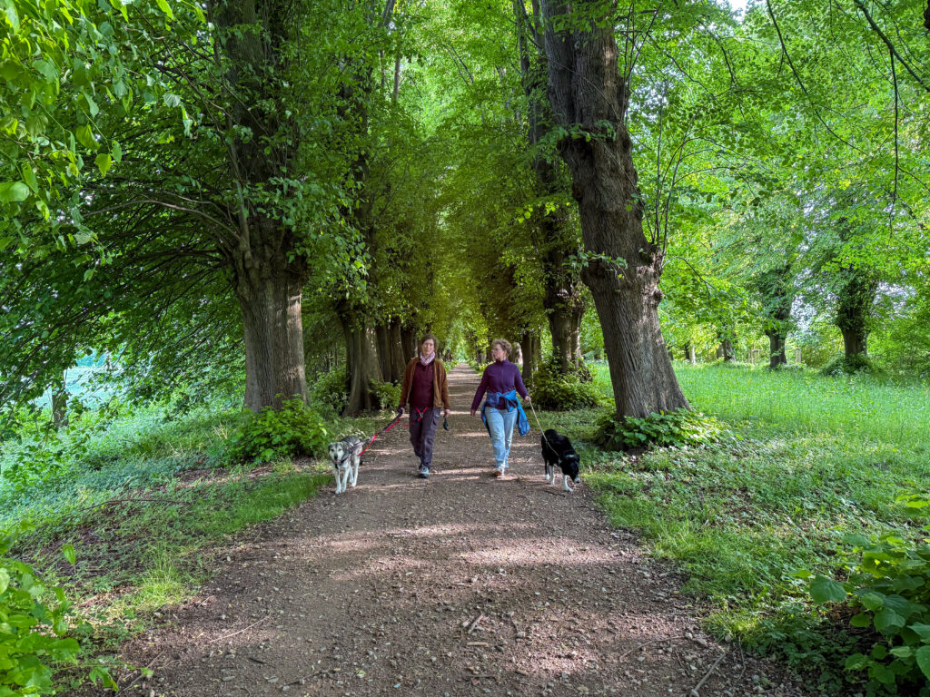 Tanuschka, Frauchen, ihre Schwester und Rocky im Park in Jersbek unter den historischen Linden.