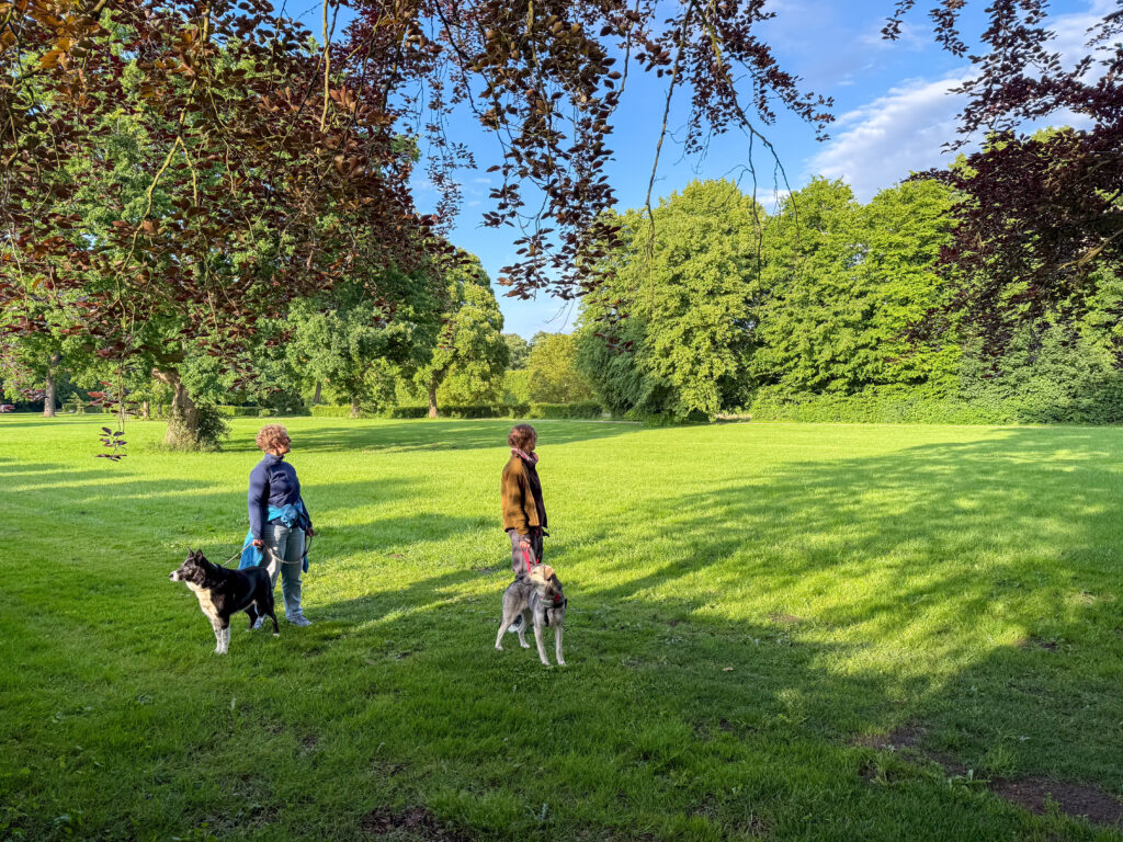 Rocky, Frauchens Schwester, Frauchen und ich im Park.