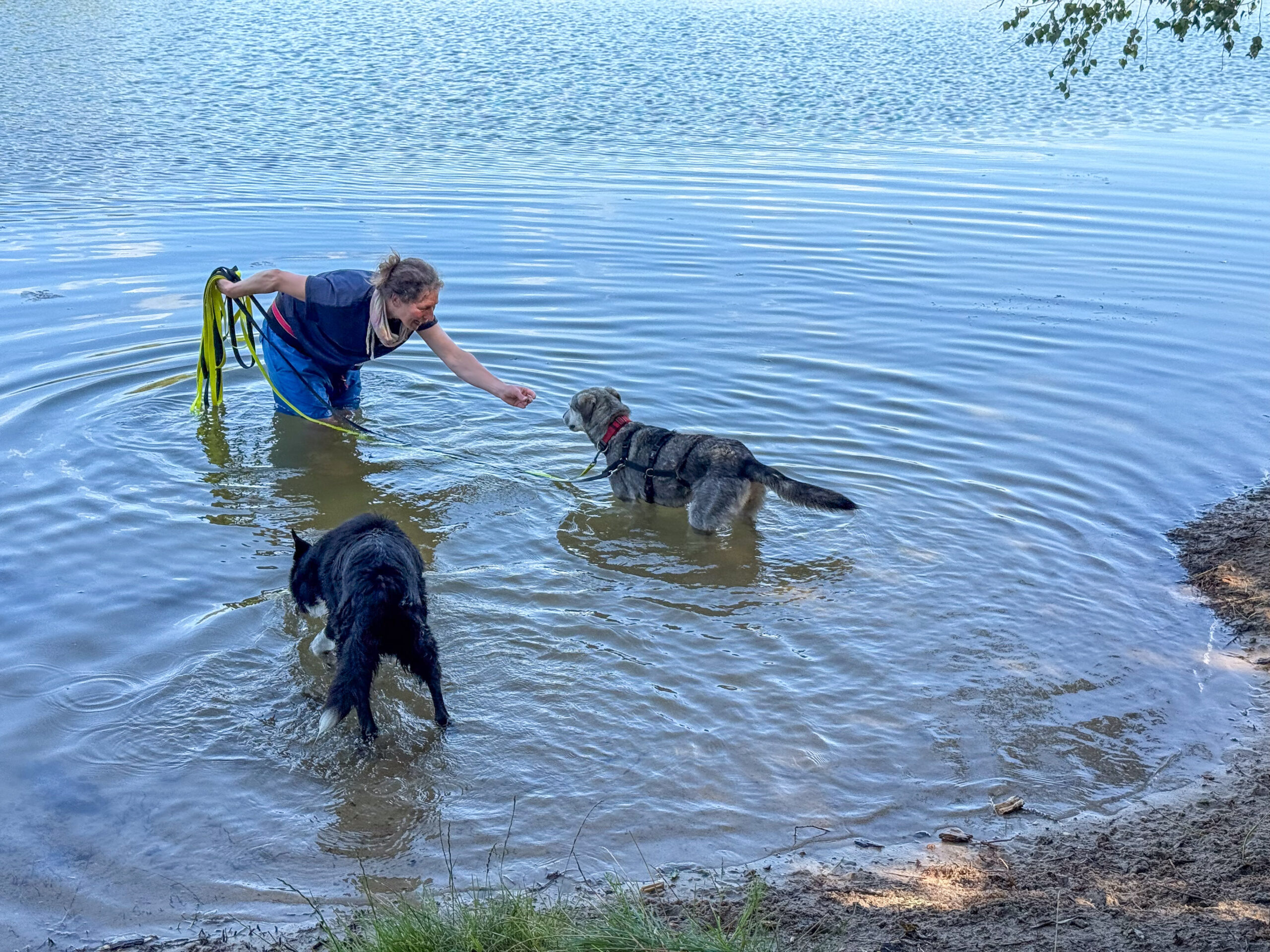 Trockener Bauch oder Leckerchen