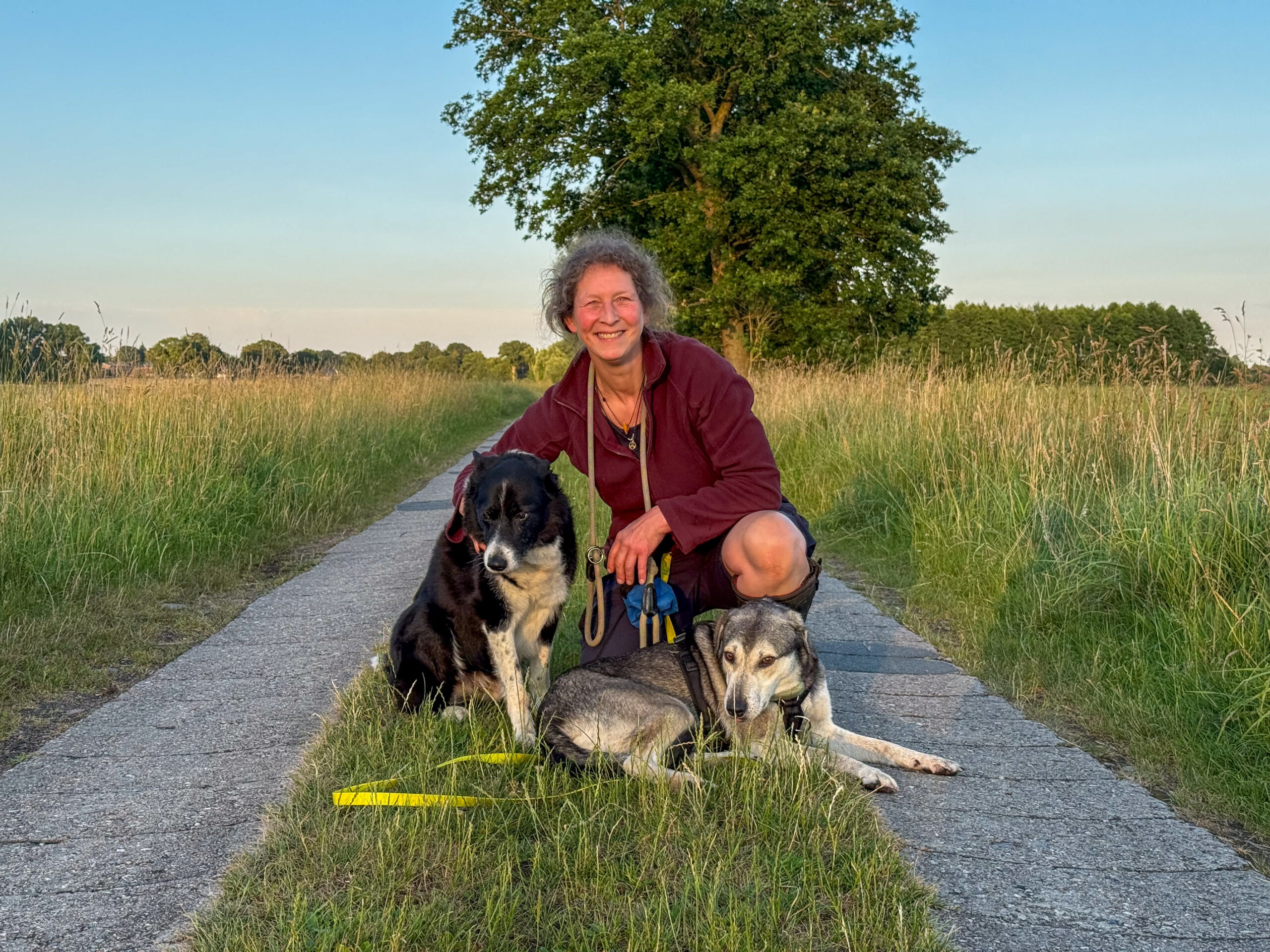 Das fast perfekte Hundefoto entsteht