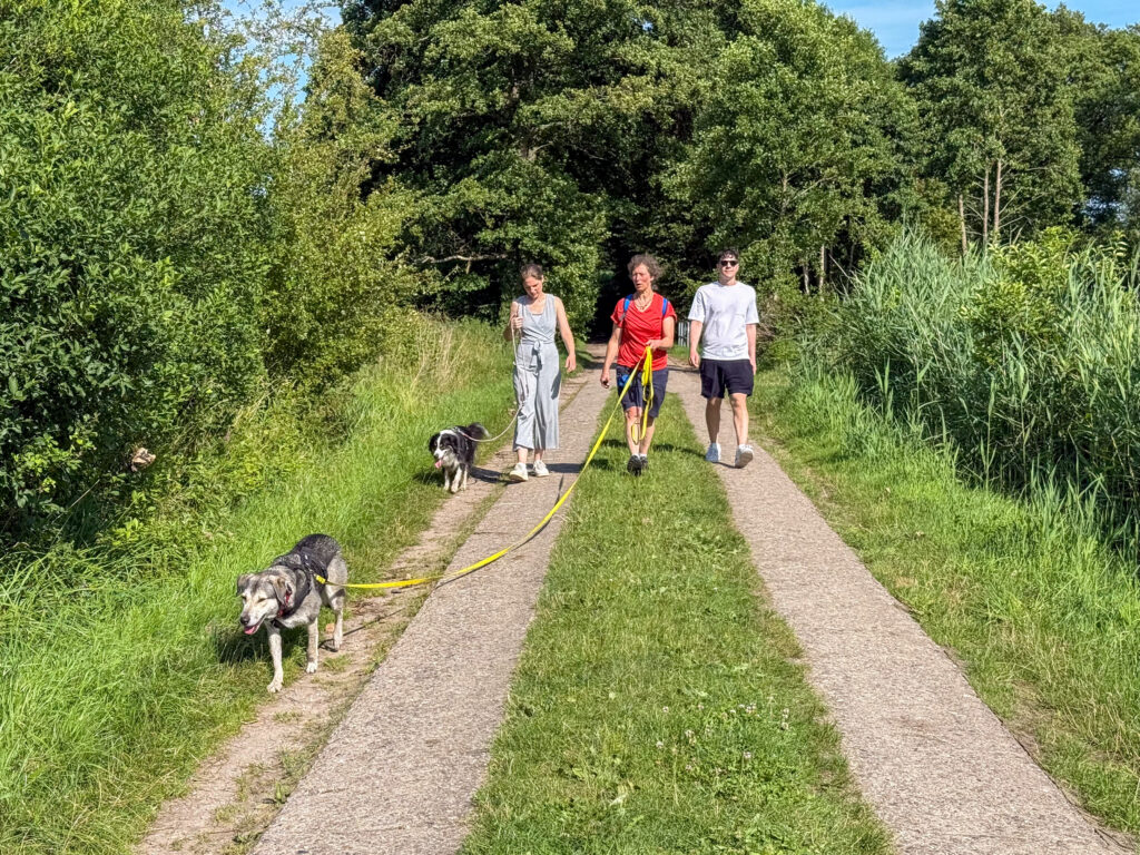 TANUSCHA, Sora, Miriam, Anna und Albin in der Feldmark.