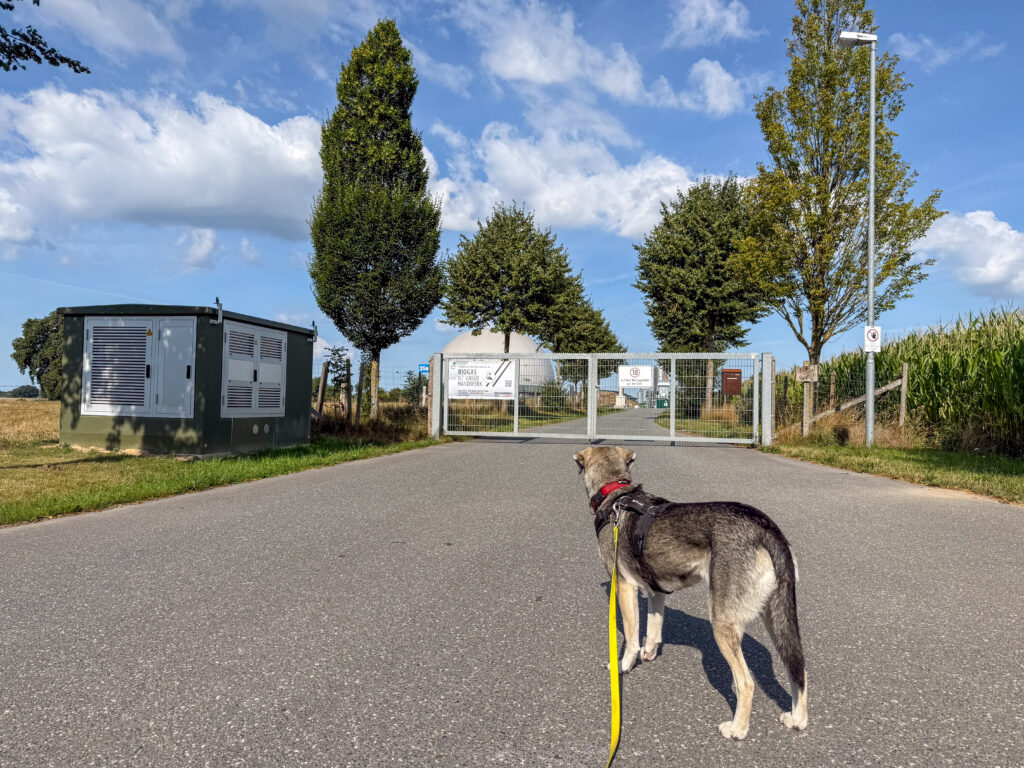 TANUSCHKA vor der Biogasanlage in Gräberkate.