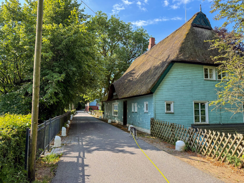 Reetdachhaus im Gräberkate.