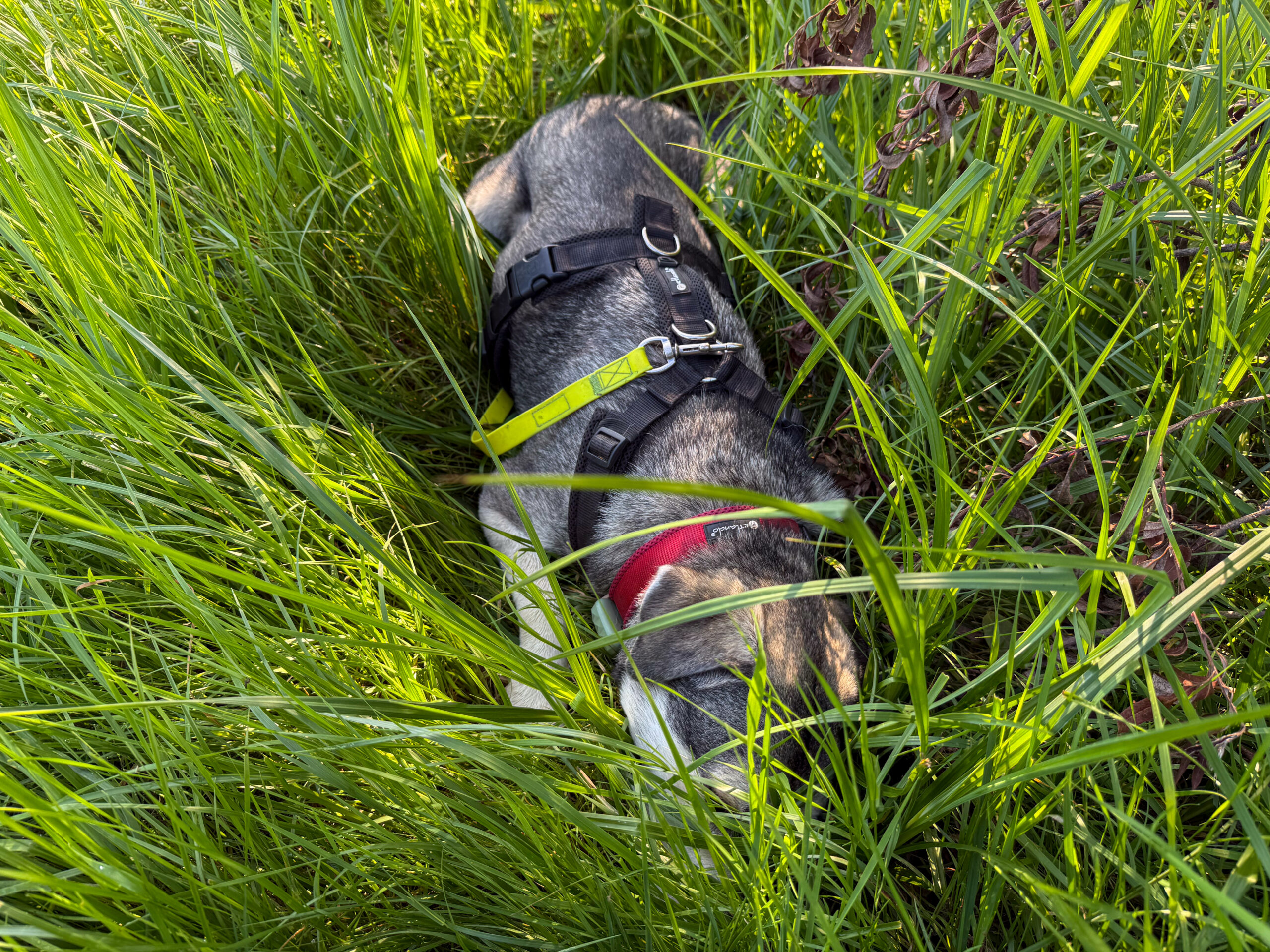 Ich bin weg …
