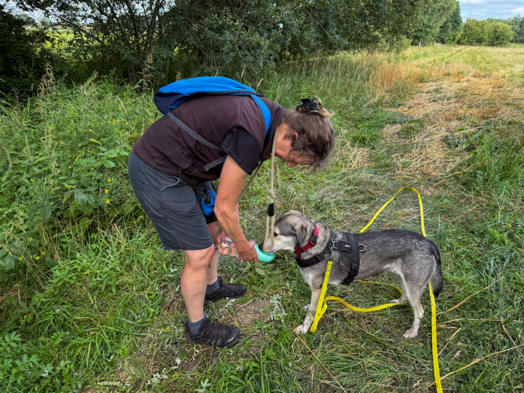TANUSCHKA trinkt frisches Wasser aus der Hunde-Trinkflasche.