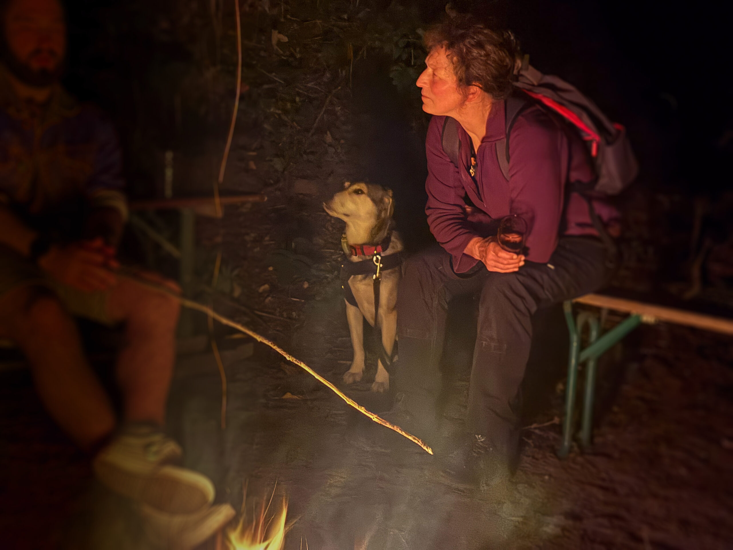 Am Lagerfeuer
