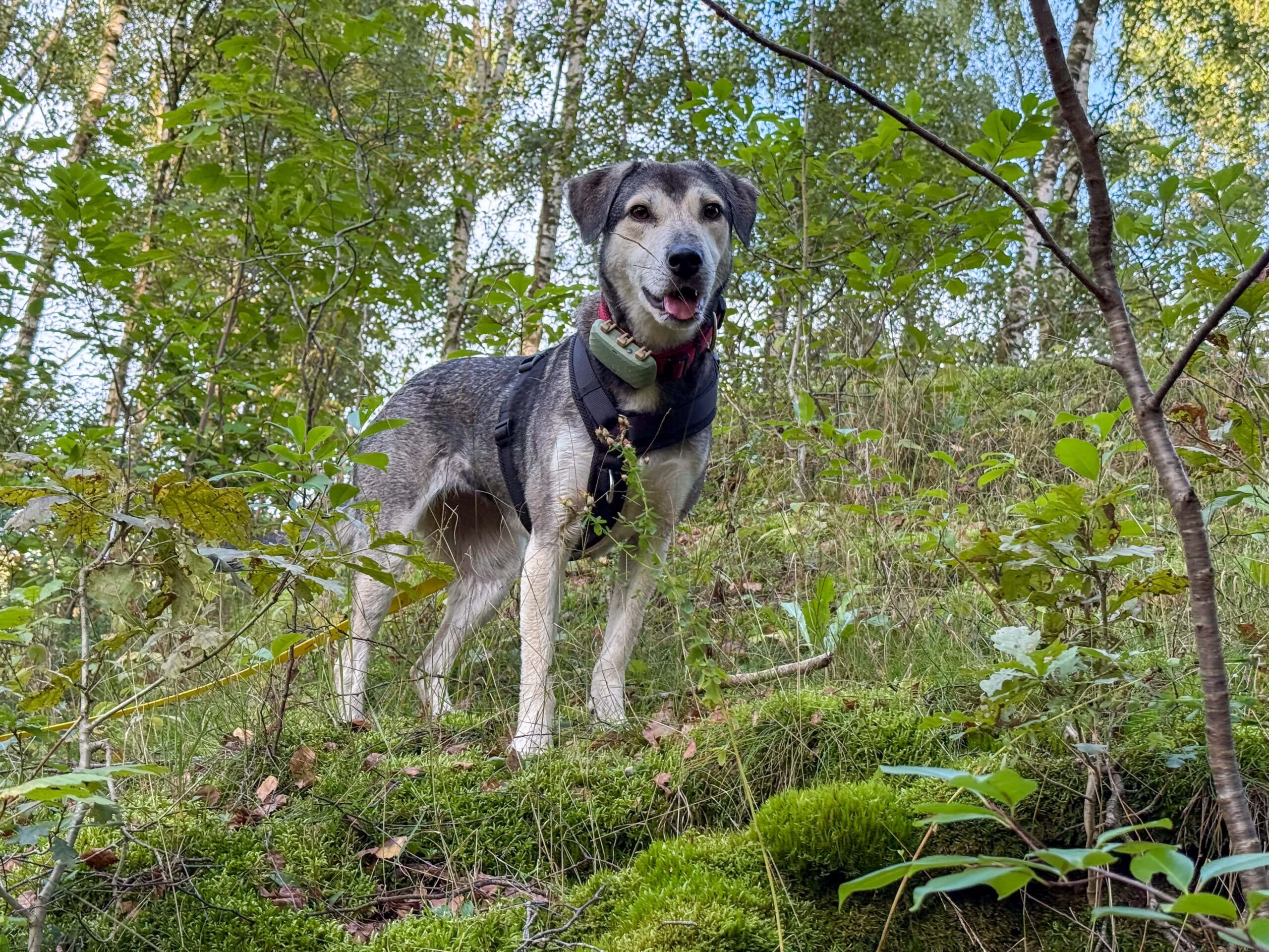 Ich möchte einfach mal stehenbleiben und schauen