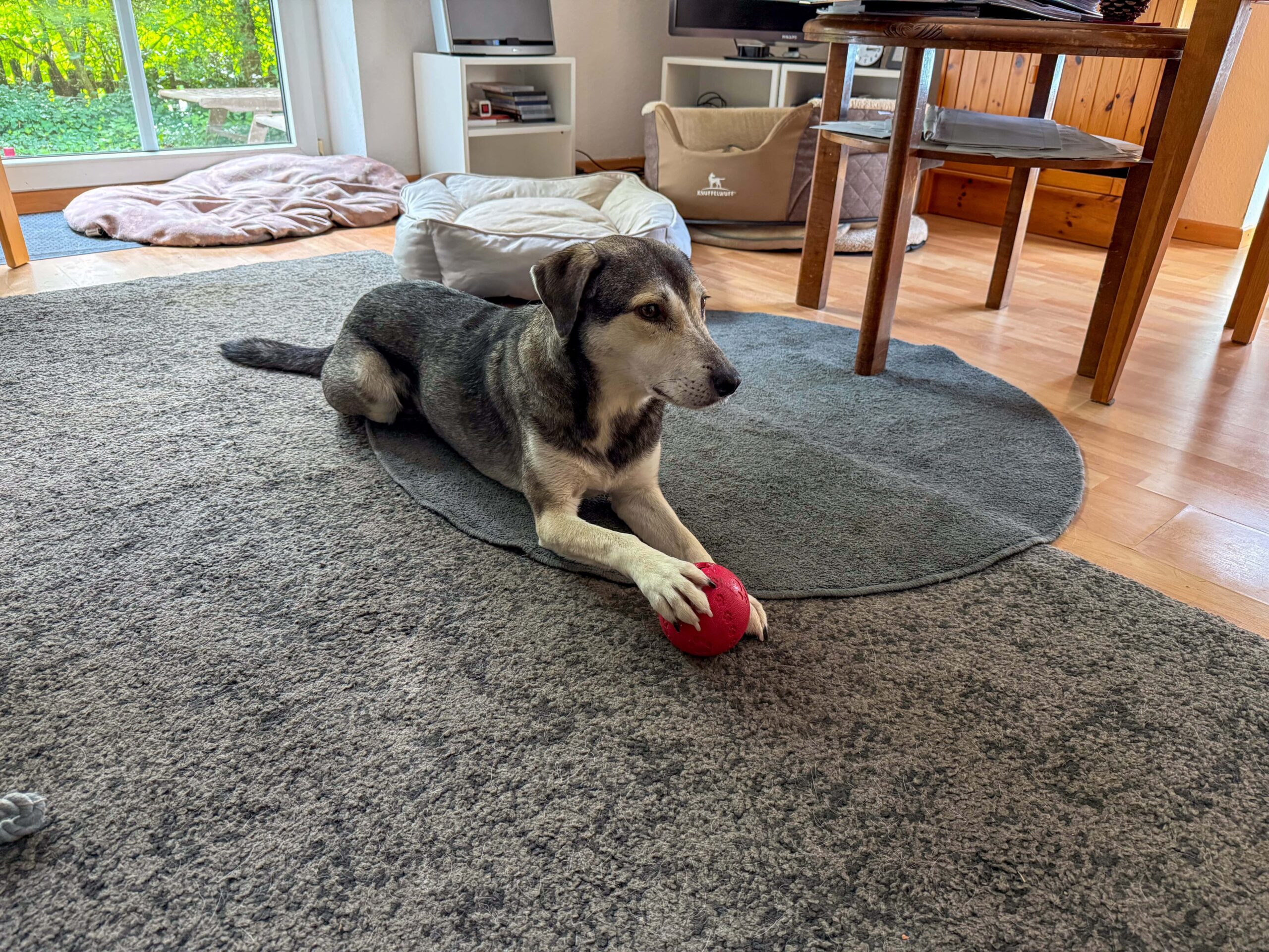 Wie komme ich nur an das Zeug im Futterball?