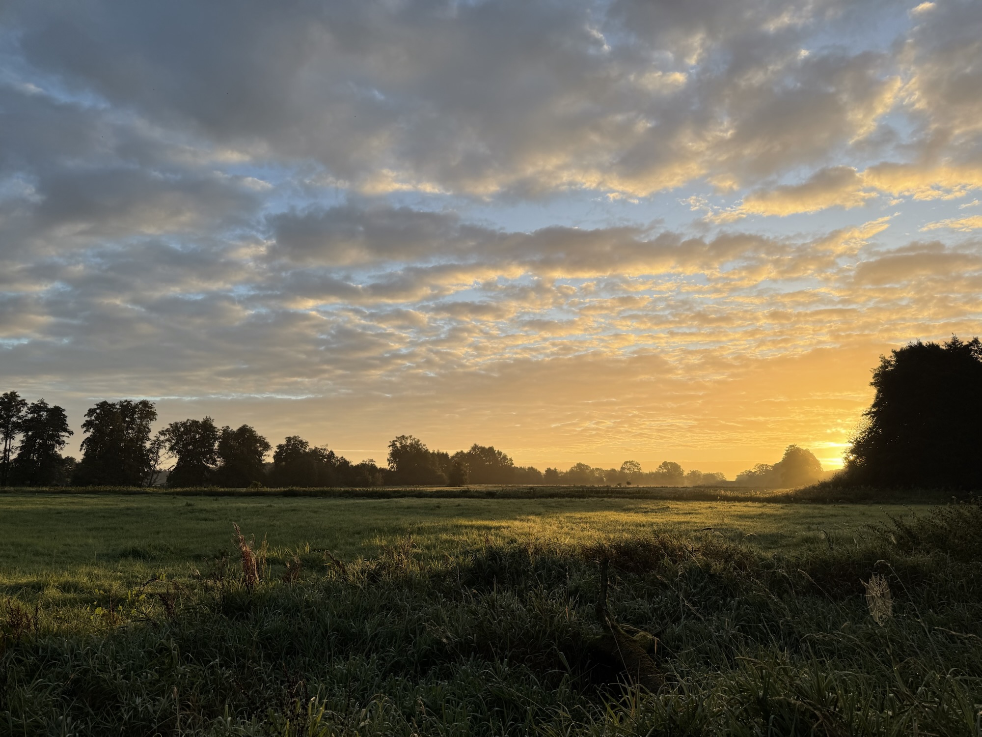 Sonnenaufgang im Herbst